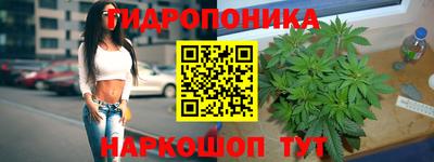 ALPHA PVP Малоярославец